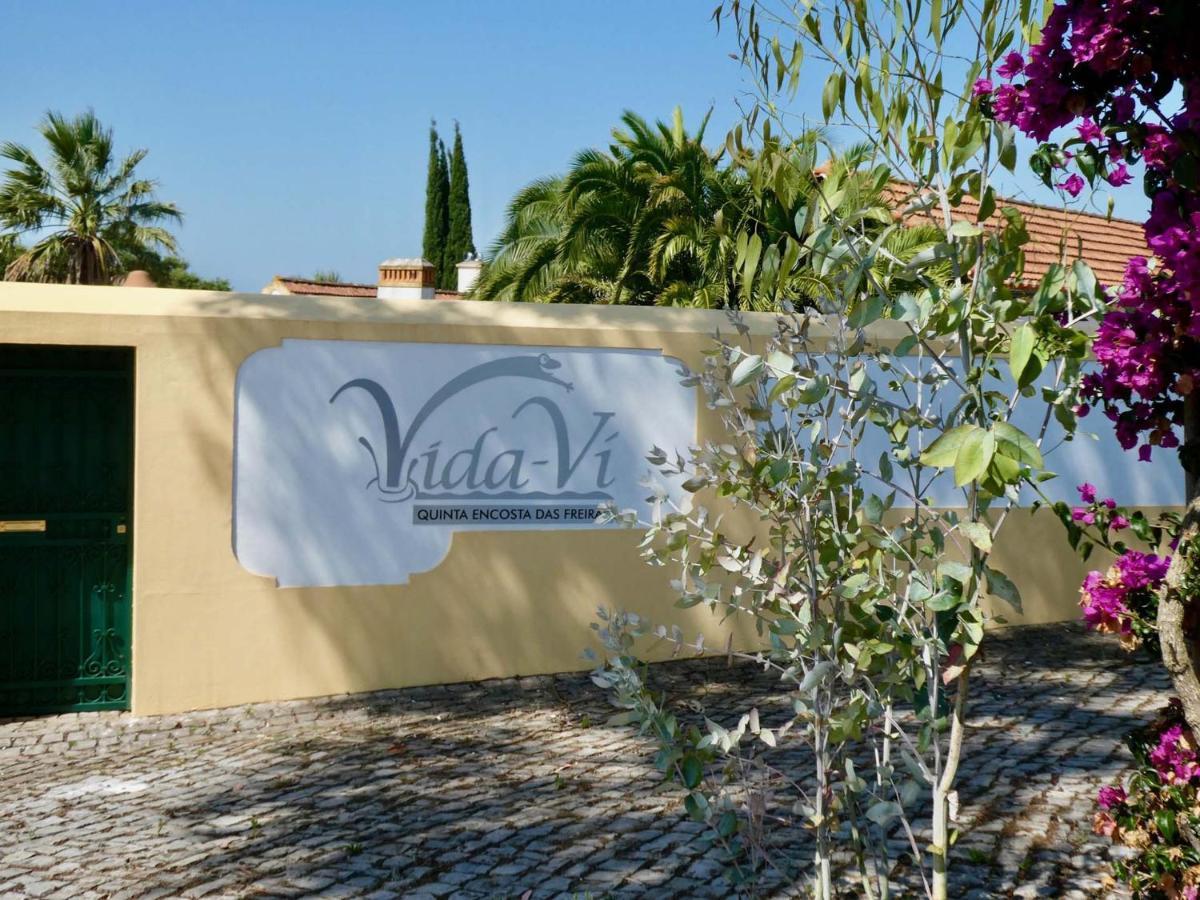 Vida-Vi, Country House And B&B Carvalhal Bemfeito Exterior photo